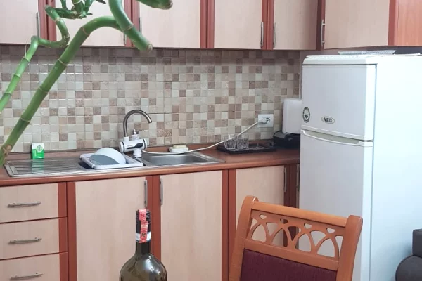 Shtepi me qera Apartament ne Tirane, 1+1, Mobilimi E mobiluar, Pagesa 500  Euro.