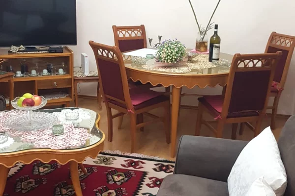 Apartament 1+1 me qira tek Ali Demi