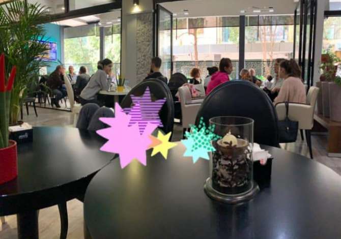 Ambient biznesi me qera 3+1 ne Tirane - 1,500 Euro