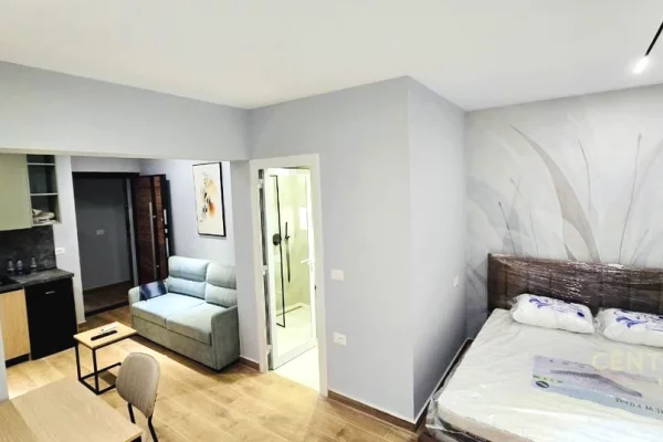 Shtepi ne shitje Apartament ne Tirane, Garsoniere, Mobilimi E mobiluar, Pagesa 255,000  Euro.