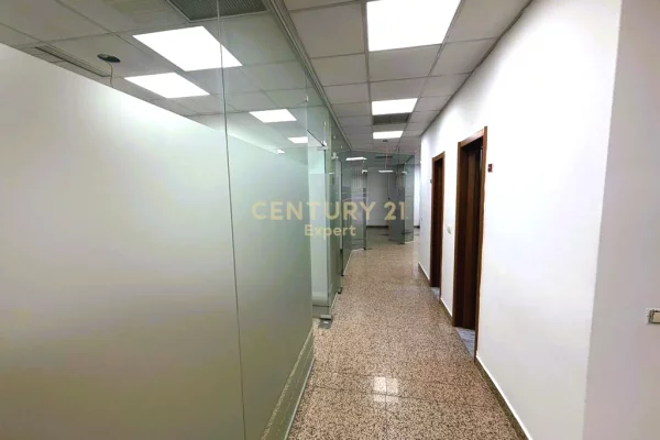 zyra me qera afer Sheshit Wilson!!!