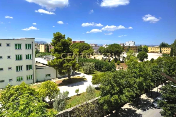 Ambient biznesi me qera 1+1 ne Tirane - 700 Euro