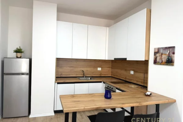 Apartment for rent in Tirana 1+1, Furnished