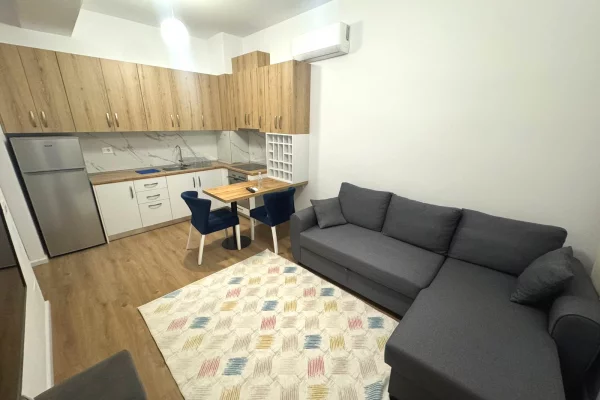 House for Rent 1+1 in Tirana - 400 Euro