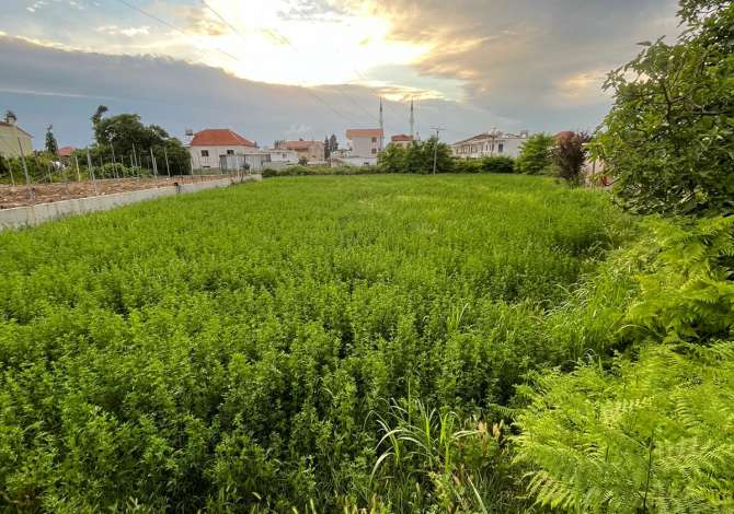 Truall ose Toke ne Tirane - 70,000 Euro