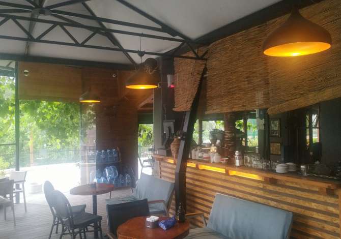 JEPET ME QERA LOKAL TEK KOPESHTI ZOLOGJIK.