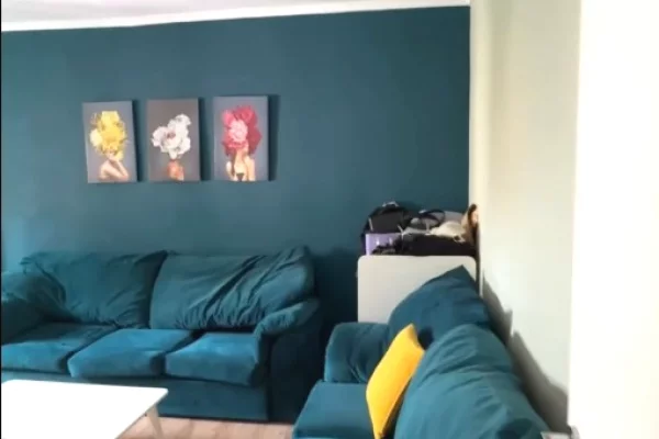 Shtepi ne shitje Apartament ne Tirane, 1+1, Mobilimi E mobiluar, Pagesa 117,000  Euro.