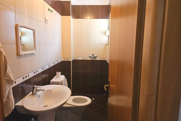 Shtepi me qera Apartament ne Tirane, 2+1, Mobilimi Pjeserisht e mobiluar, Pagesa 500  Euro.