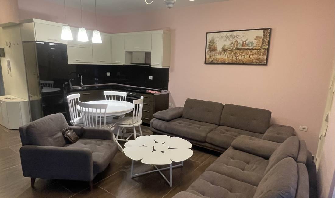 Shtepi me qera Apartament ne Tirane, 1+1, Mobilimi E mobiluar, Pagesa 500  Euro.