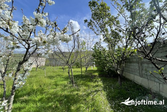 Truall ose Toke ne Tirane - 110,000 Euro