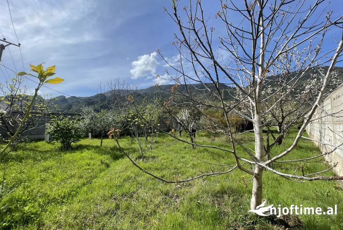 Truall ose Toke ne Tirane - 110,000 Euro