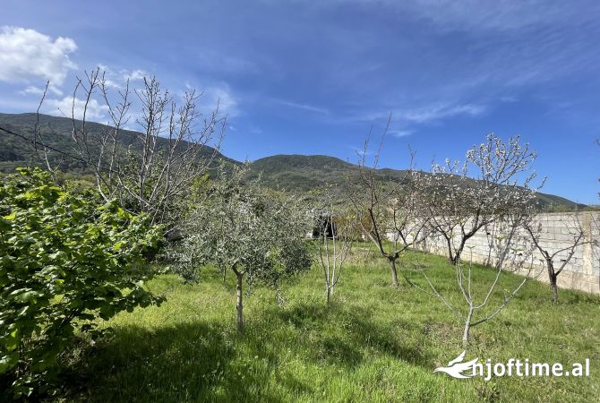 Truall ose Toke ne Tirane - 110,000 Euro