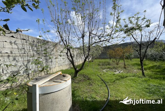 SHITET toke ne Berzhite prane 