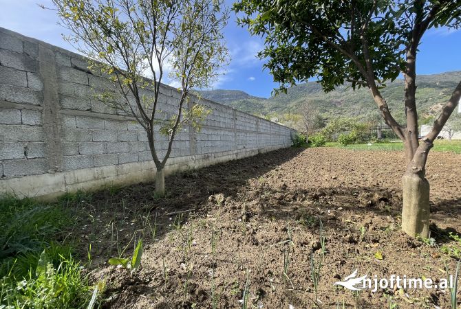 SHITET toke ne Berzhite prane 