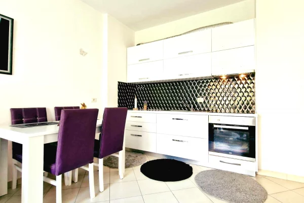 Shtepi me qera Apartament ne Tirane, 1+1, Mobilimi E mobiluar, Pagesa 40,000  Leke.