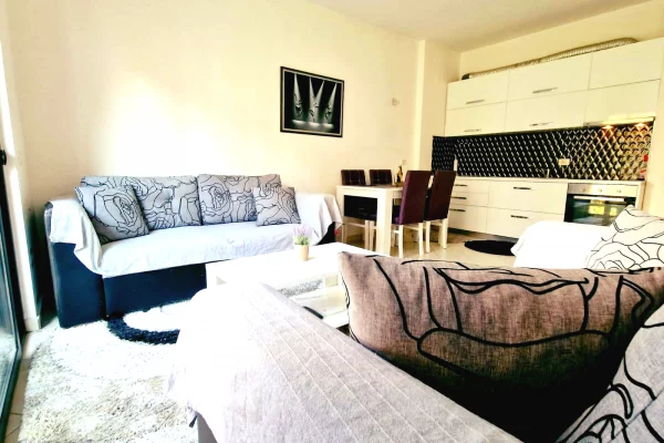 Shtepi me qera Apartament ne Tirane, 1+1, Mobilimi E mobiluar, Pagesa 40,000  Leke.