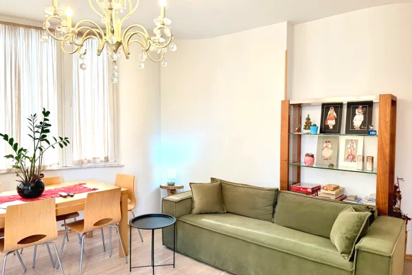 Shtepi ne shitje Apartament ne Tirane, 2+1, Mobilimi E mobiluar, Pagesa 265,000  Euro.