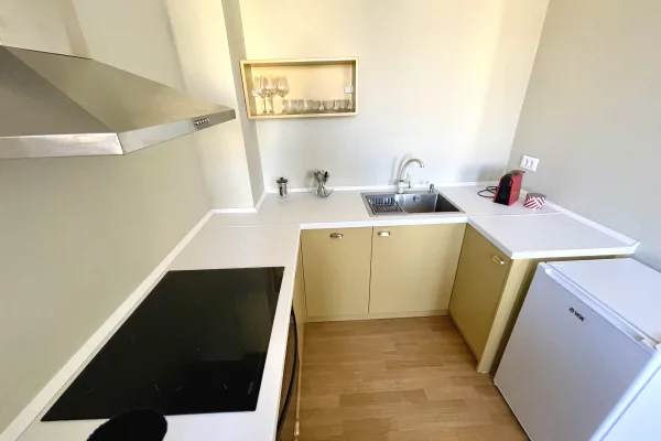 Shtepi me qera Apartament ne Tirane, 1+1, Mobilimi E mobiluar, Pagesa 650  Euro.