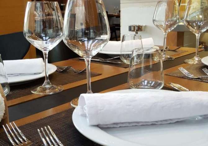 Ambient biznesi me qera 2+1 ne Tirane - 1,800 Euro