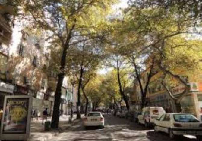 Business Property for Rent 1+1 in Tirana - 851 Euro