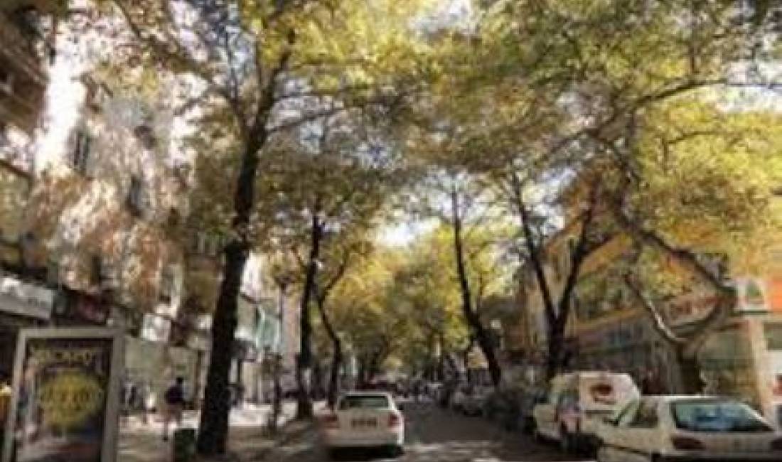 SUPER DYQAN NE Myslym Shyr