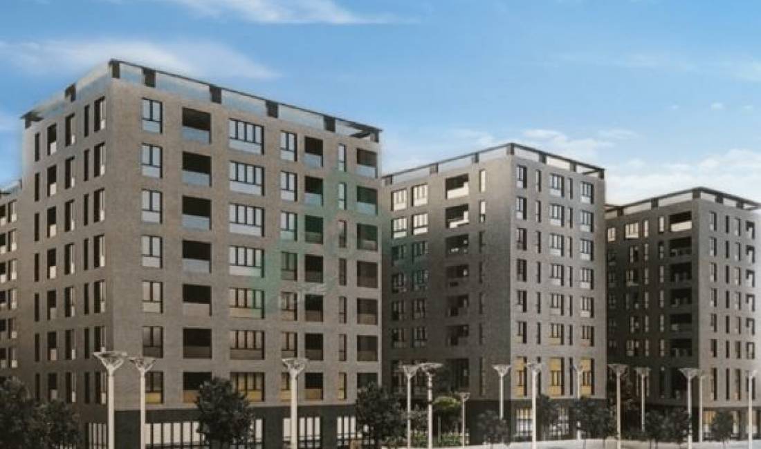 Japim parkim me qera ne Fresk te pallatet Tom Doshi 