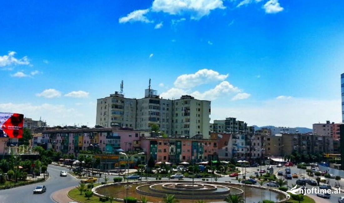 Shitet Biznes - Zogu i Zi (VR111)