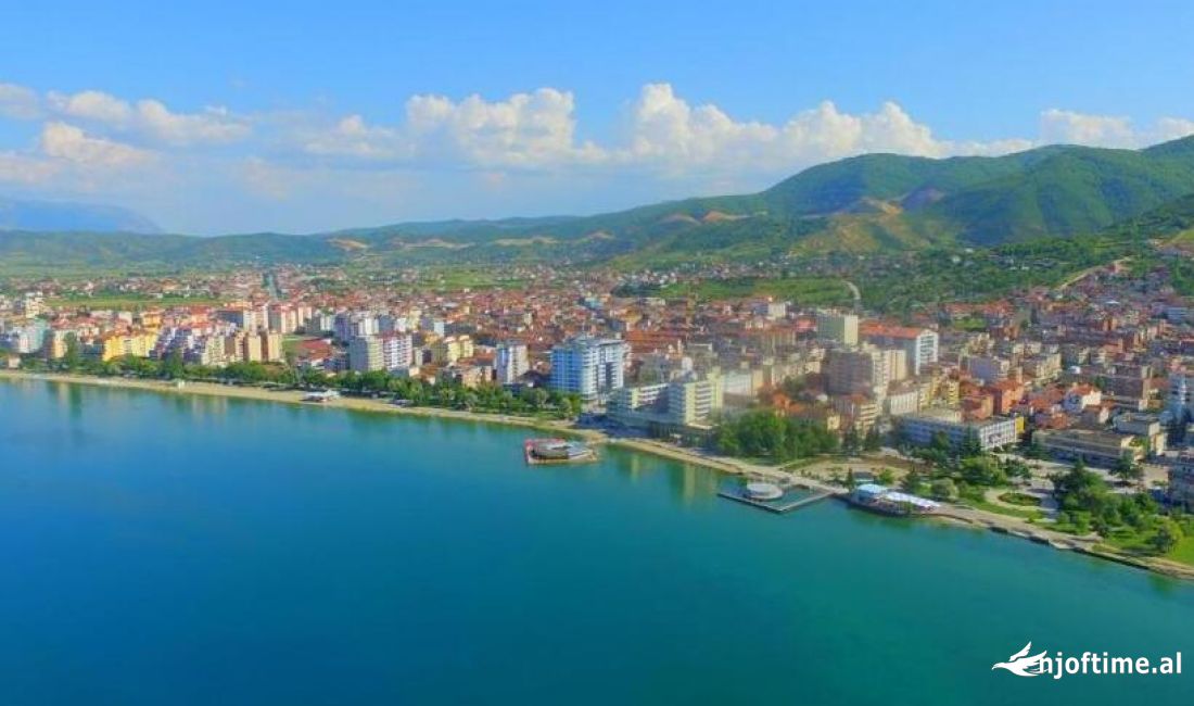 Biznes + Prone ne shitje - Pogradec (VR111)