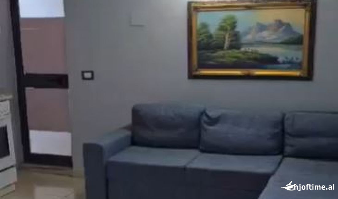 Shtepi me qera Apartament ne Tirane, 1+1, Mobilimi E mobiluar, Pagesa 350  Euro.