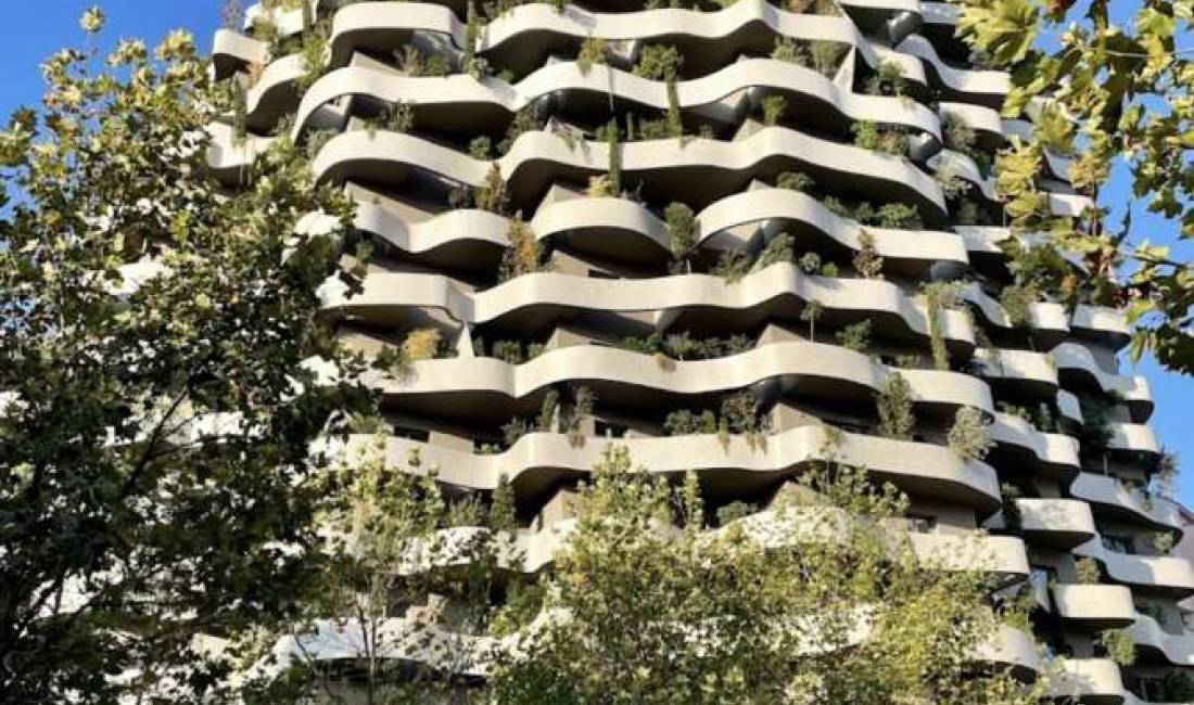 Qera, Ambient Biznesi ,"Lion Park 1", Tirane.