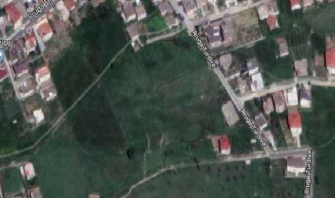 Shitet, Toke, Sauk, Tirane.