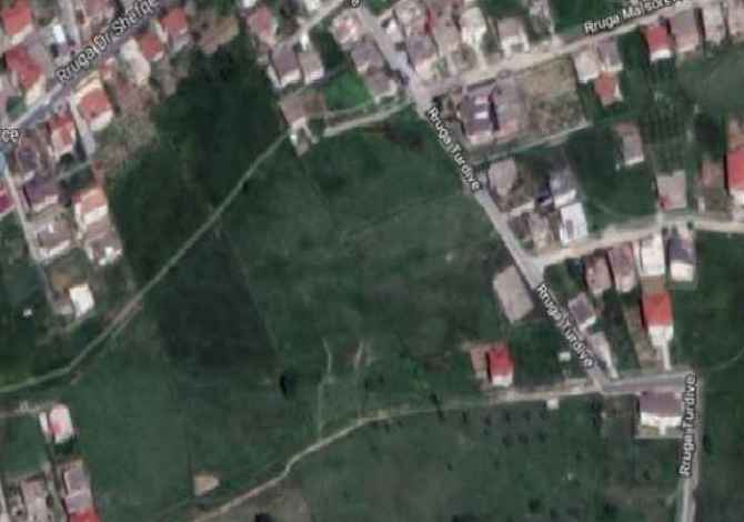 Shitet, Tokë, Sauk, Tiranë.