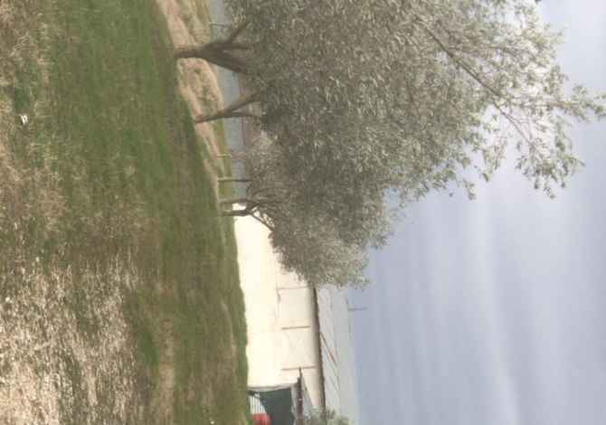 Ambiente Commerciale in Affitto a Durazzo - 50,000 Leke