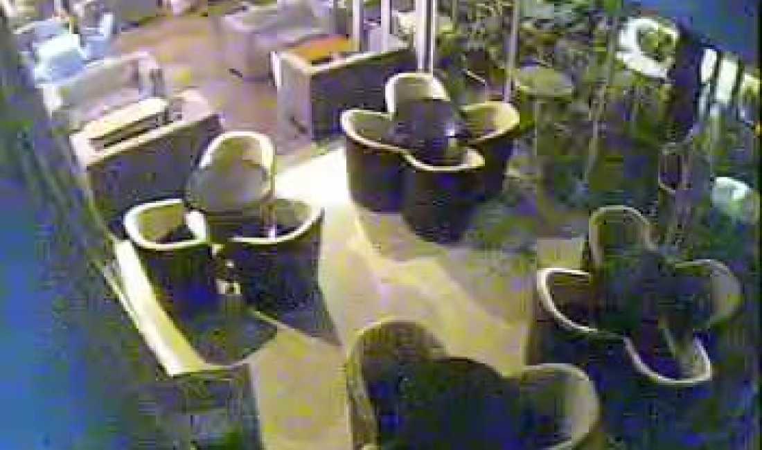 Jepet me qera Bar Nexus si dhe kendi i lojrave per femije