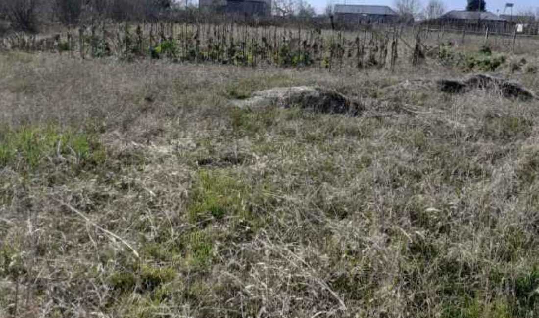 Shitet toke ne Ishull-Shengjin, Cmimi 40.000 euro, i diskutueshem