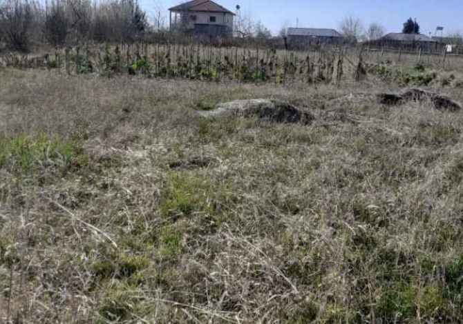 Shitet tokë në Ishull-Shëngjin, Çmimi 40.000 euro, i diskutueshëm