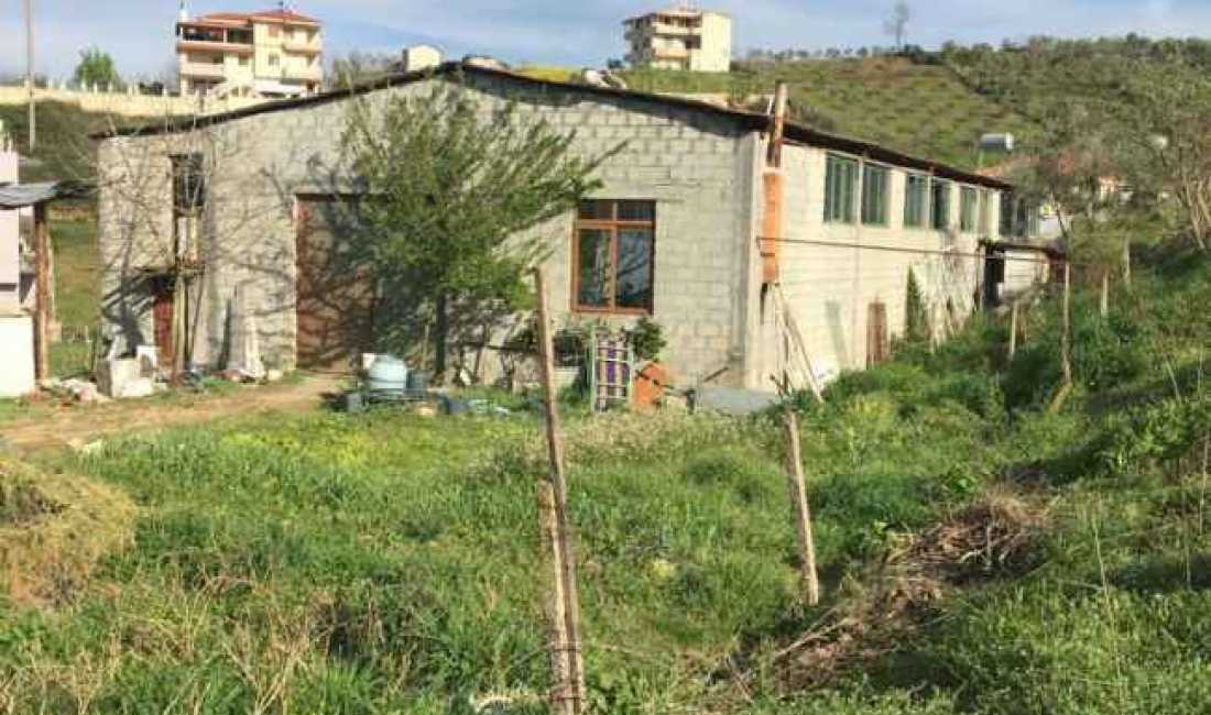 SHITET TOKE NE KAMEZ