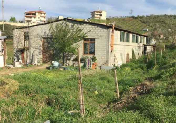 Truall ose Toke ne Tirane - 40,000 Euro