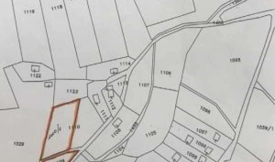  Tirane, shes toke 5.000 m2 100 Euro/m2 (Paskuqan)