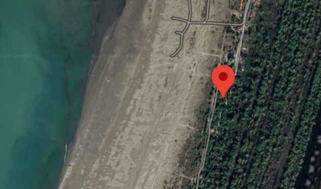 Shitet toke ne bregdetin e divjakes 