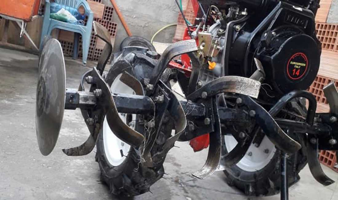 Shitet freza italiane orgjinale