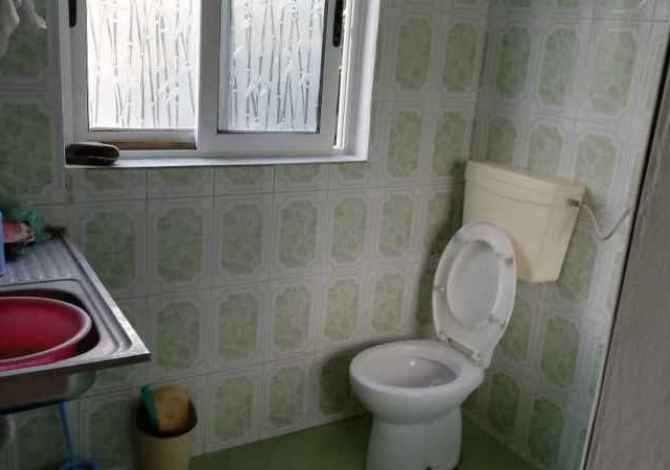 Ambient biznesi ne shitje ne Lushnje - 65,000 Euro