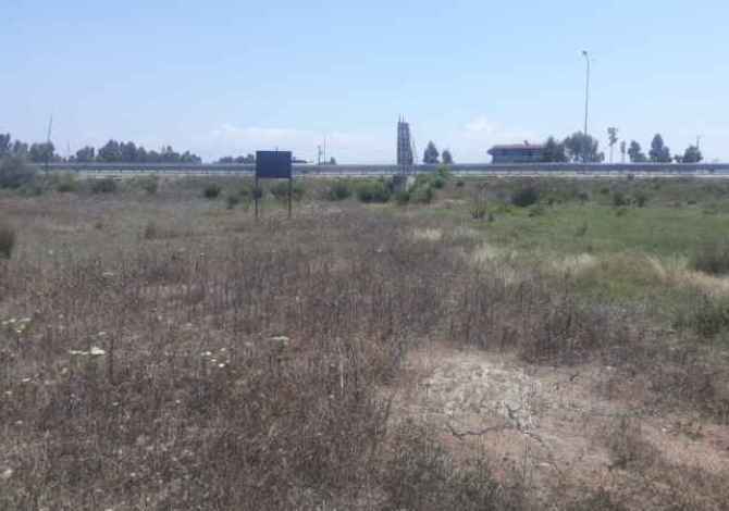 Shitet toke truall ne Rrugen " Kongresi i Lushnjes"