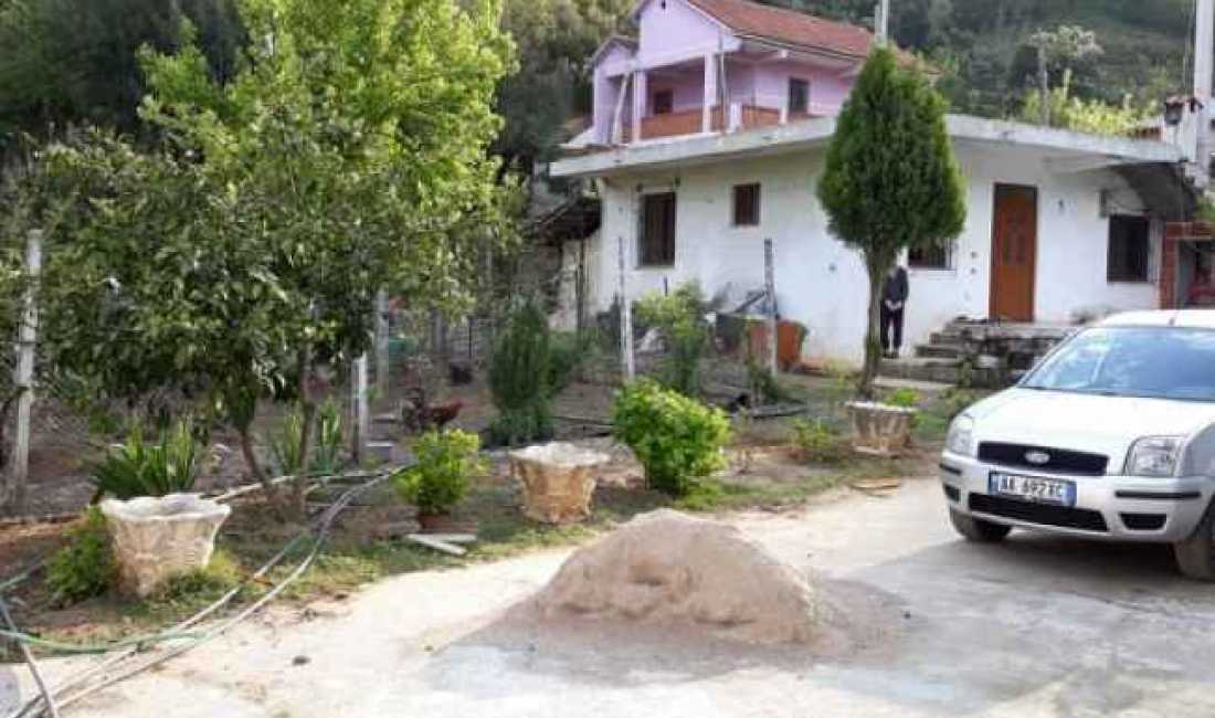 OKAZION SHITET  1000m2 TOKE