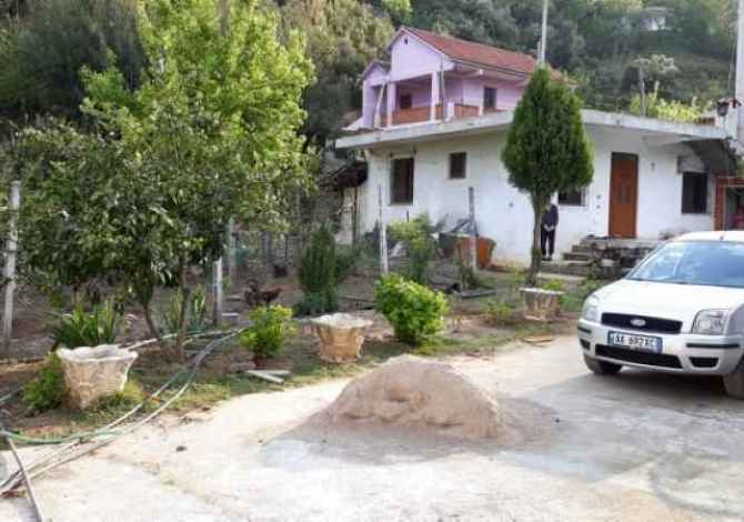 OKAZION SHITET  1000m2 TOKE