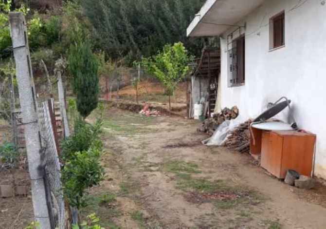 OKAZION SHITET  1000m2 TOKE