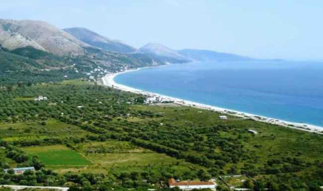 SHITET TOKE NE BREGDETIN E TALES NE LEZHES