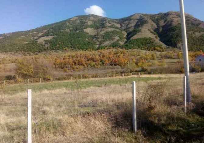 SHITET TOKE NE BOBSHTICE  KORCE