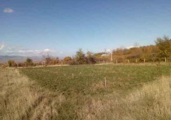 SHITET TOKE NE BOBSHTICE  KORCE