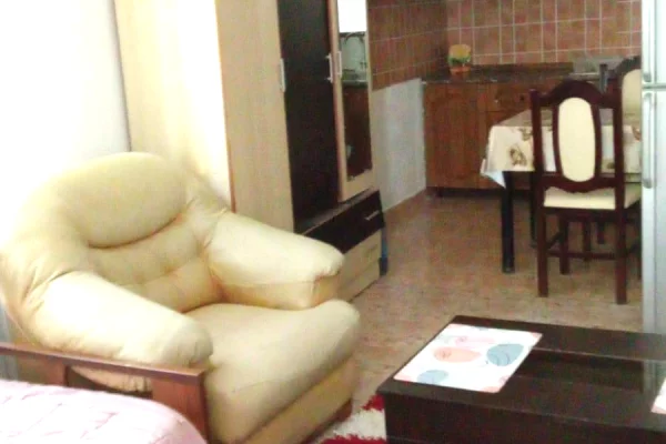 Shtepi me qera Apartament ne Tirane, Garsoniere, Mobilimi E mobiluar, Pagesa 32,000  Leke.